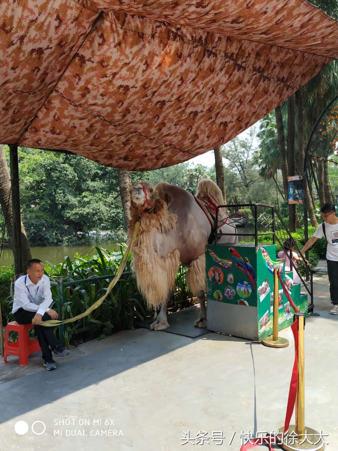 暑假游玩好去處，廣州動物園看動物