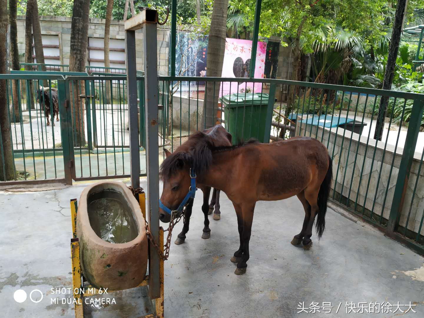 暑假游玩好去處，廣州動物園看動物