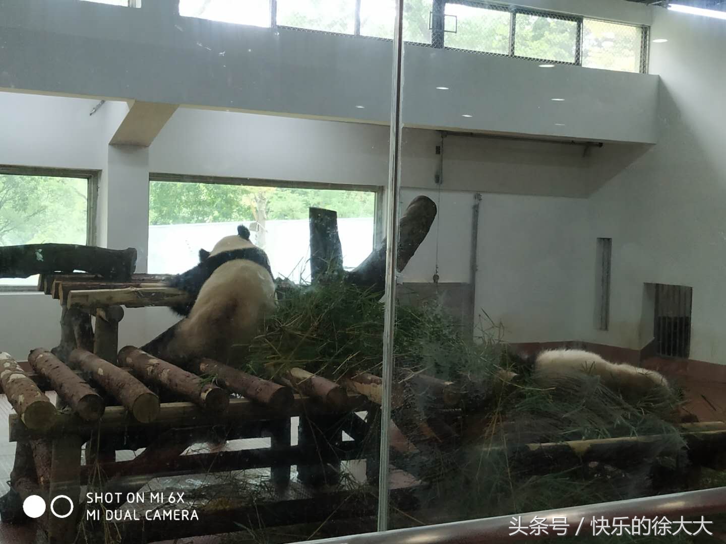 暑假游玩好去處，廣州動物園看動物