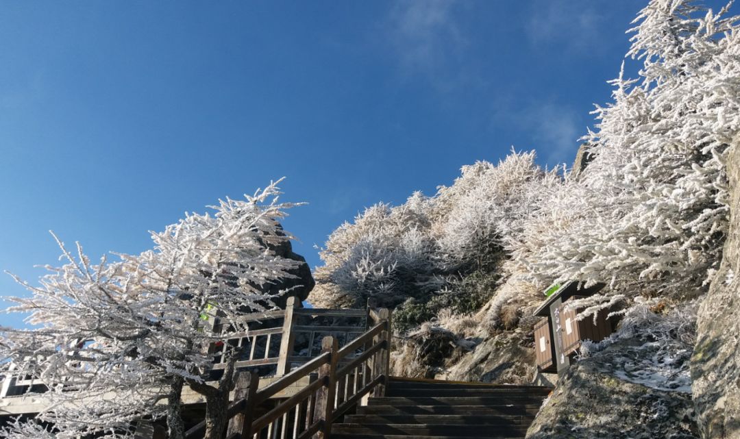 國慶假期太白山旅游區接待游客34.95萬人次