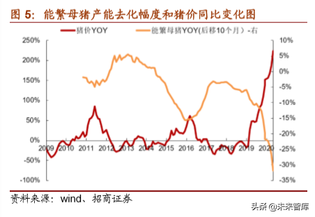 生猪养殖专题报告：长短扬镳，买在分歧