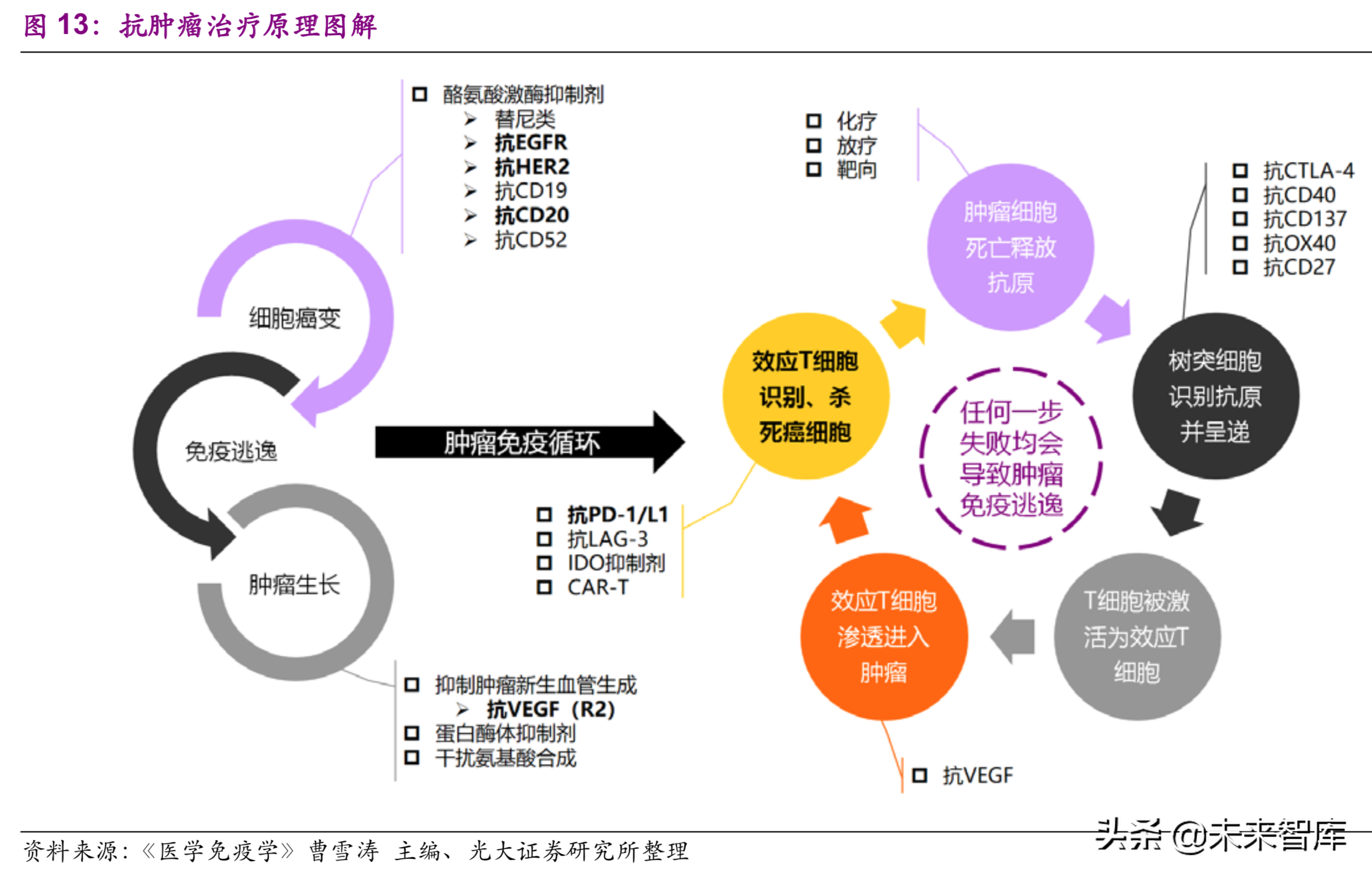 医药生物行业深度研究：单抗药物专题报告（89页）