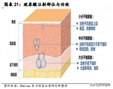 医疗美容材料专题报告：HA填充剂搭上美丽快车
