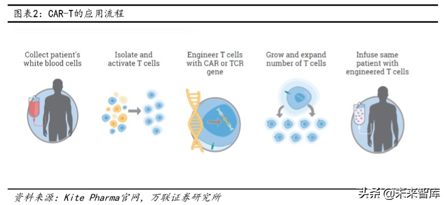 医药行业专题报告：CAR-T，商业化进展顺利，市场潜力仍待挖掘
