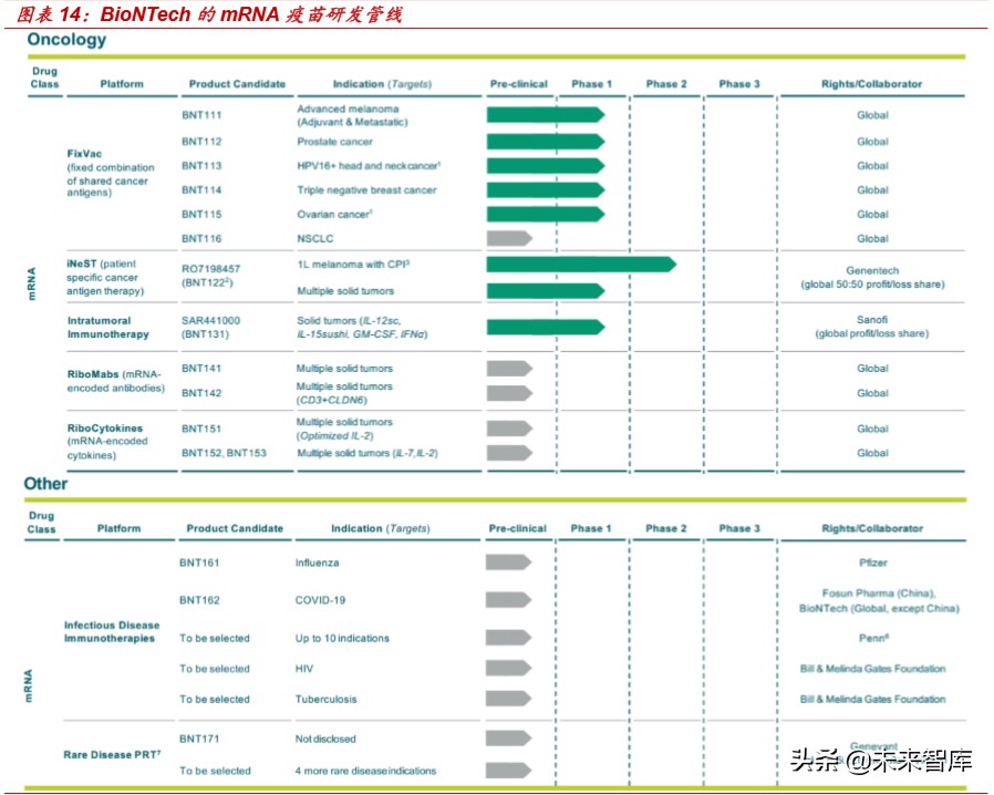 新冠病毒疫苗专题报告：mRNA疫苗究竟是“何方神圣”？