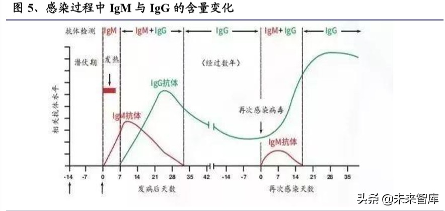 新冠检测行业全景分析及重点投资标的