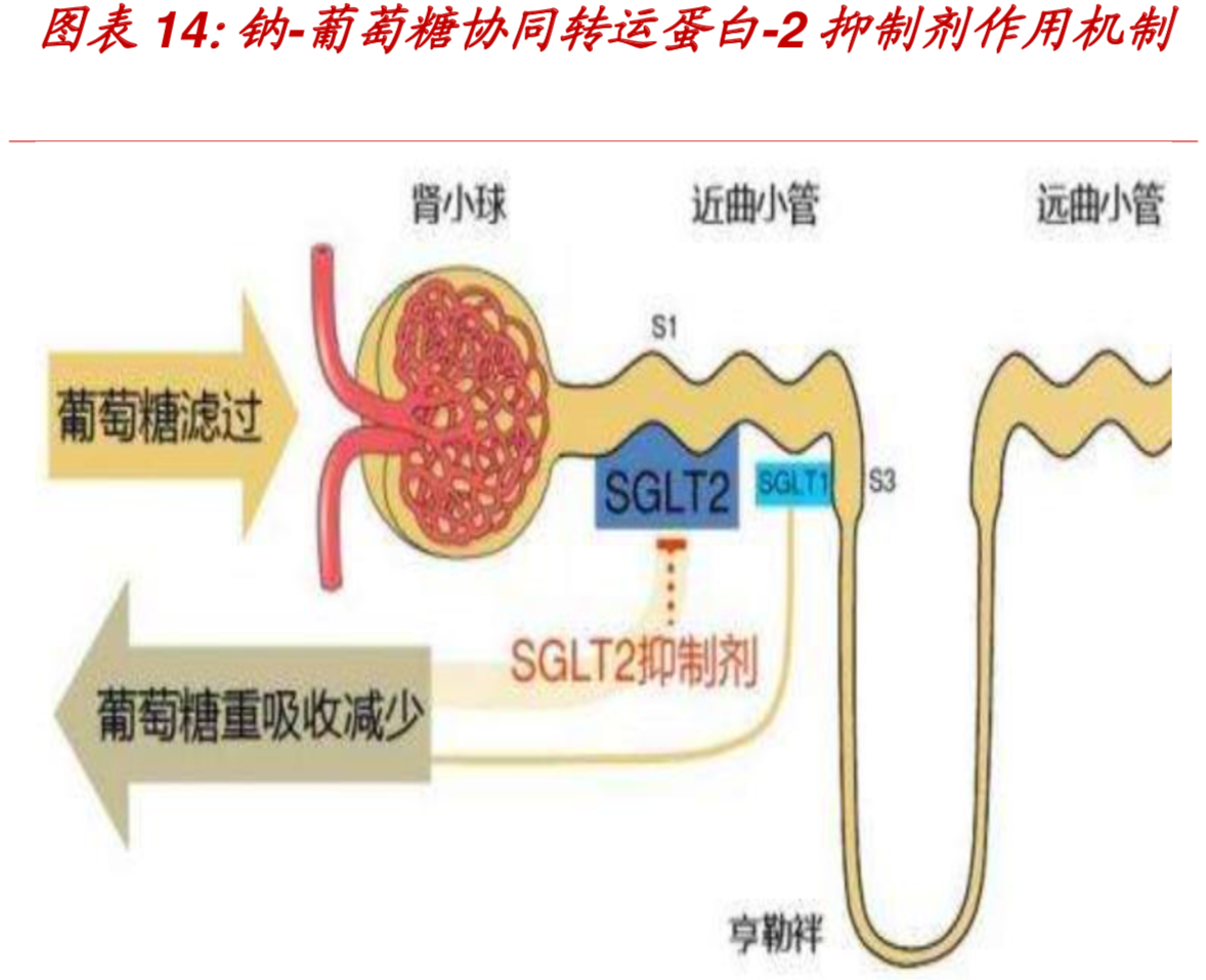 创新药全球发展趋势及国内发展机会分析