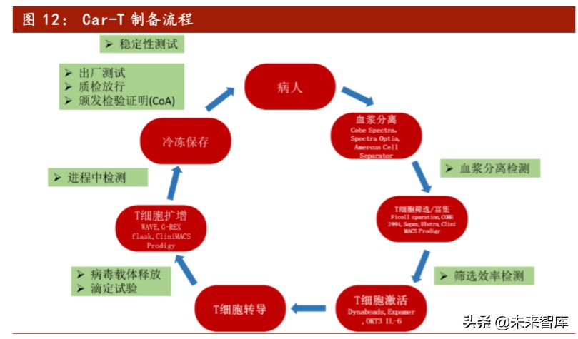医药行业专题报告：Car-T细胞治疗深度研究