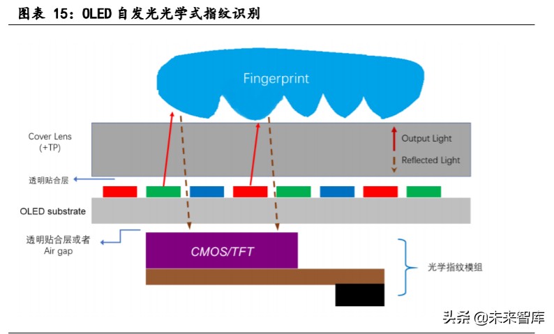生物识别技术产业发展深度报告：指纹与人脸识别