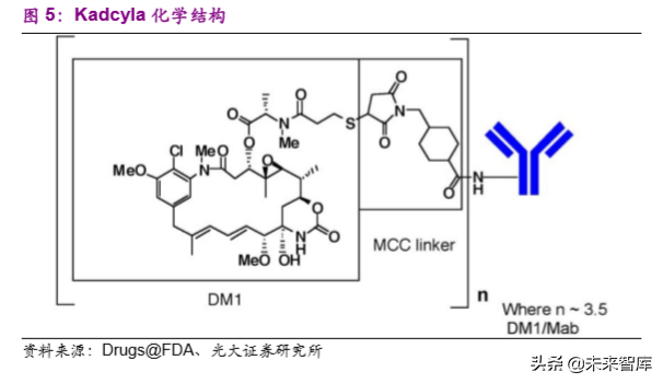 创新药专题：抗体偶联药物，靶向递送毒性小分子的生物导弹