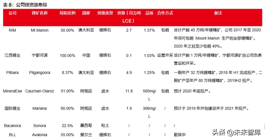 赣锋锂业深度解析：锂资源龙头，未来发展可期
