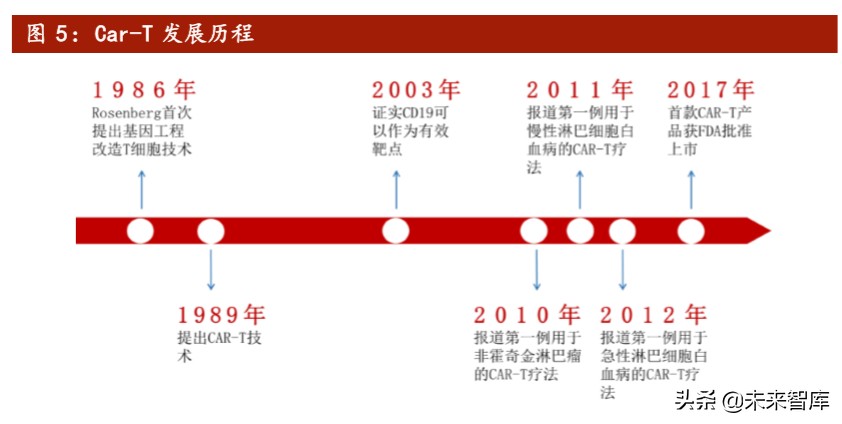 医药行业专题报告：Car-T细胞治疗深度研究