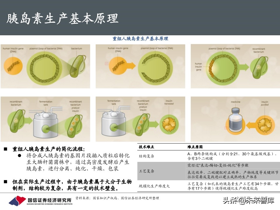 创新药行业专题报告：胰岛素，降糖药旗舰驶向何方