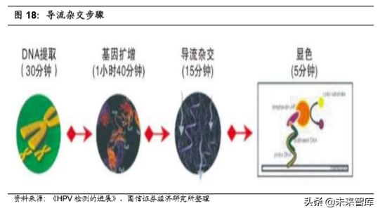 医疗行业专题：核酸分子诊断龙头凯普生物深度解析