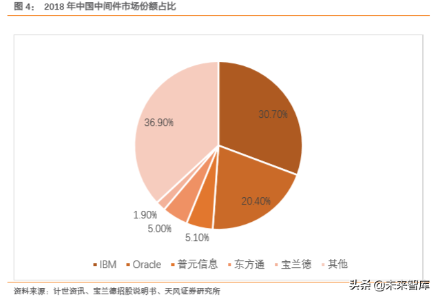 计算机中间件市场前瞻分析