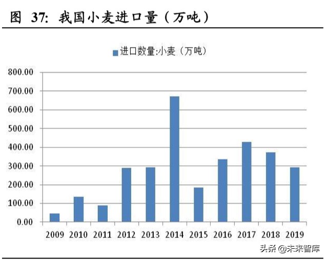 粮食供需分析及国内外种业发展对比专题报告