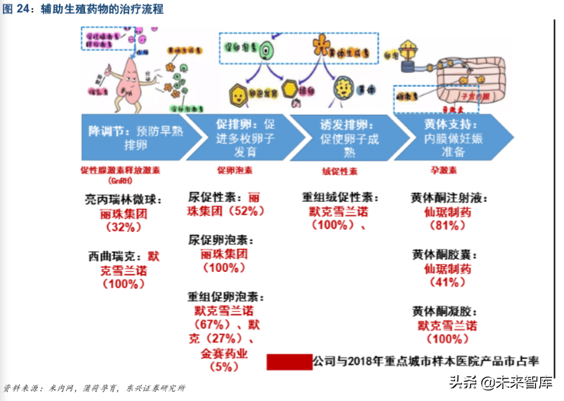 生育辅助医疗行业专题报告