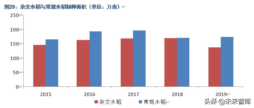 隆平高科深度解析：种质、研发优势突出，持续引领生物育种