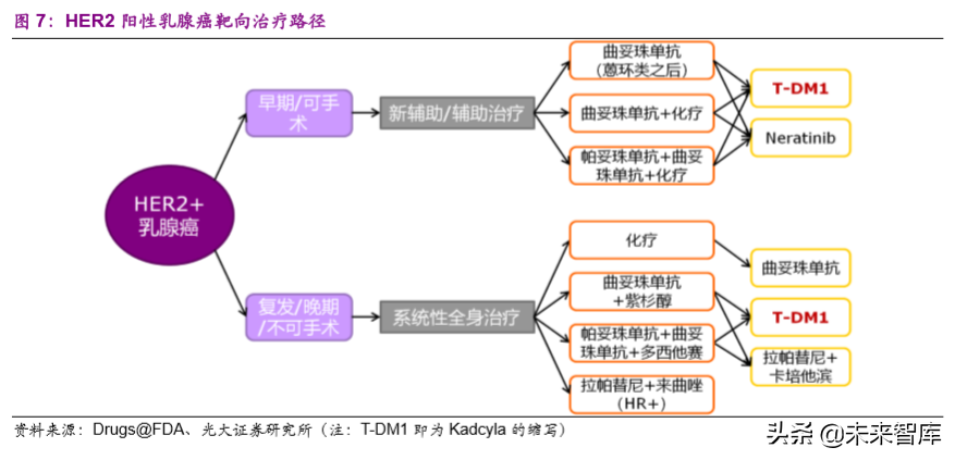 创新药专题：抗体偶联药物，靶向递送毒性小分子的生物导弹