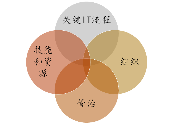 五大咨询公司IT战略规划方法论（119页）