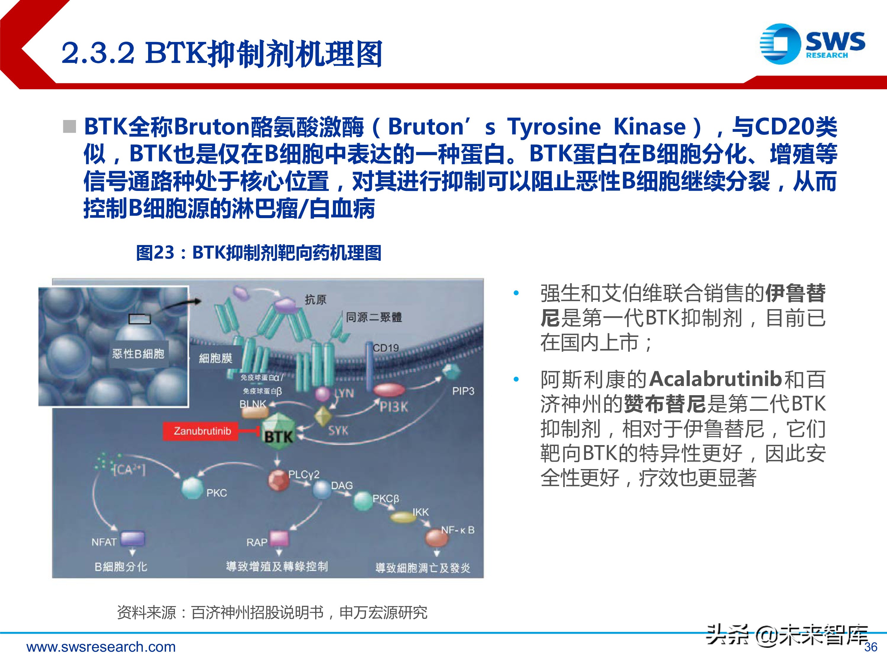 肿瘤创新药：淋巴瘤/白血病专题研究报告