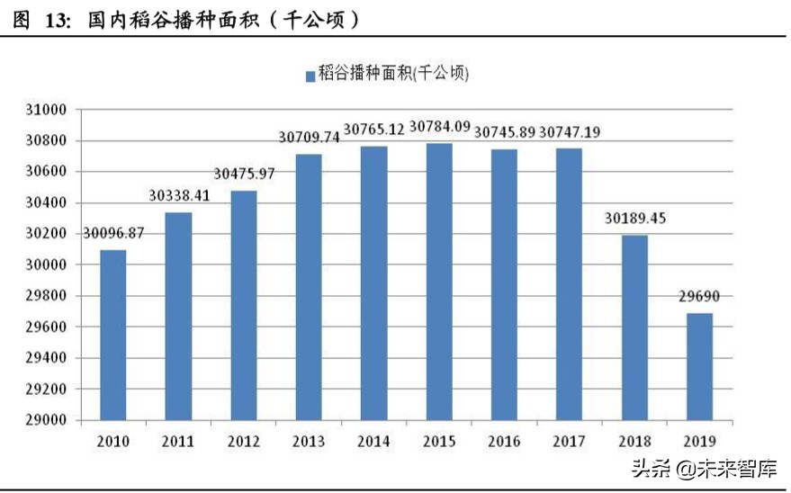 粮食供需分析及国内外种业发展对比专题报告