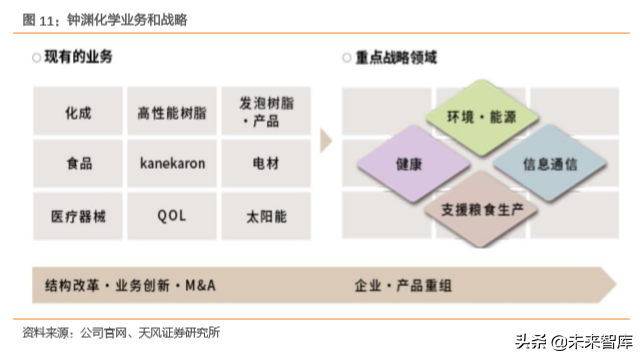 一种人体必需的代谢激活剂：辅酶Q10行业分析