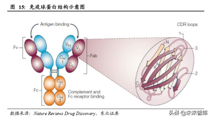 生物医药专题之单抗行业深度报告：综述篇