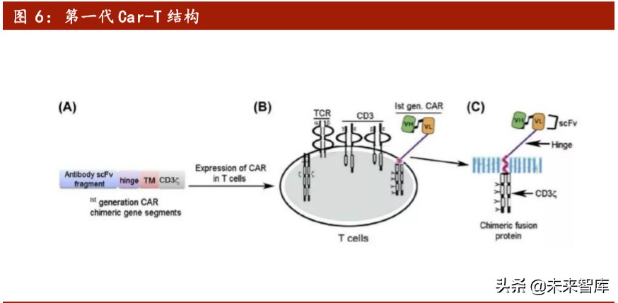 医药行业专题报告：Car-T细胞治疗深度研究