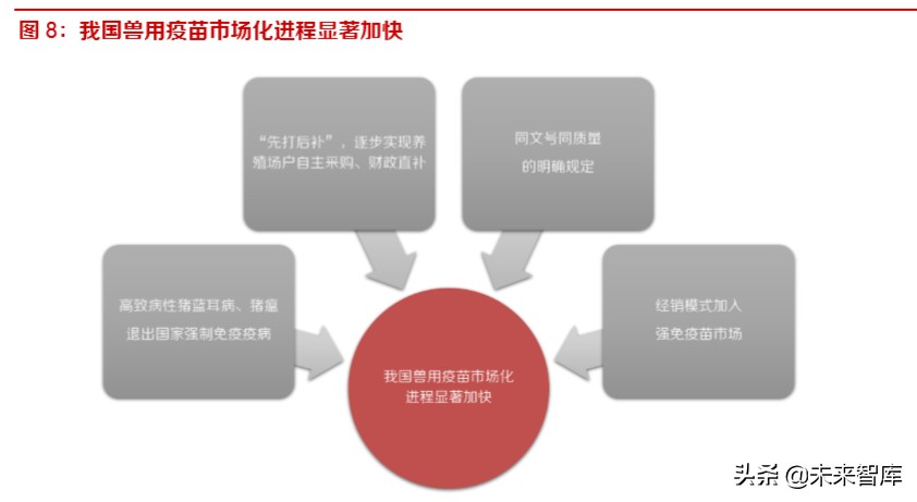 动物疫苗专题报告：周期恢复启程，创新单品可期