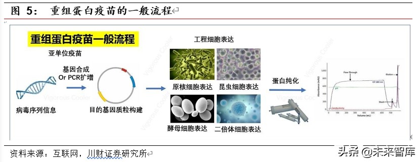 疫苗行业新冠专题研究：国际突发公共卫生事件下的疫苗研发