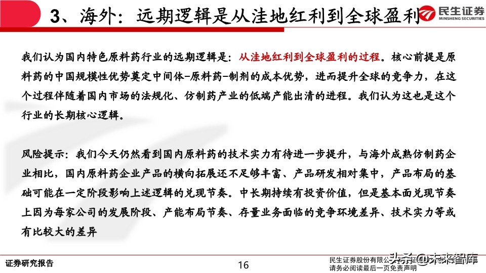 特色原料药行业专题报告：API行业生态演绎认识