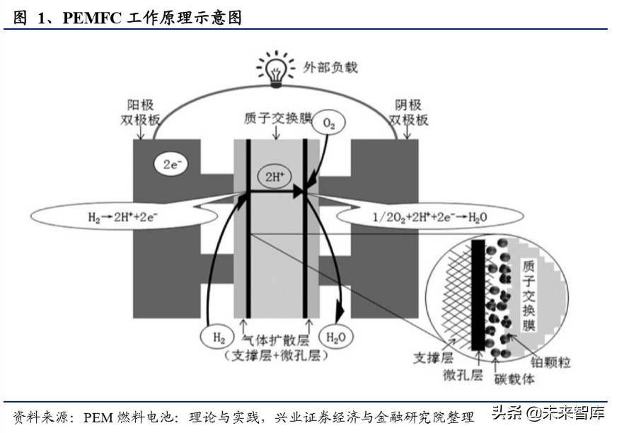 燃料电池专题报告：燃料电池蓄势待发，铂金需求新蕊绽放