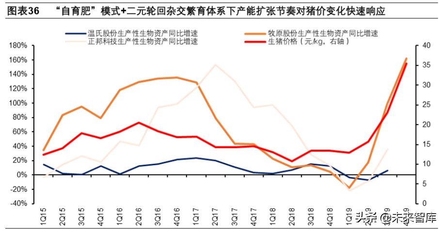 双疫情下中国生猪产业链专题报告
