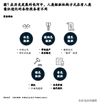 麦肯锡汽车行业敏捷转型与组织创新