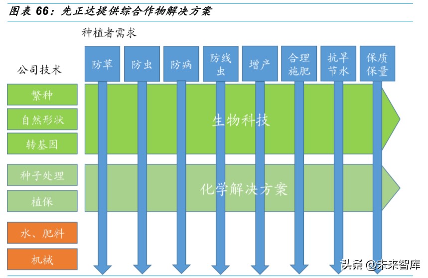 种业深度研究：乘转基因之风，国内种业加速整合发展