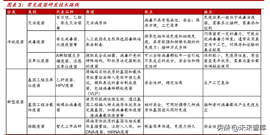 新冠病毒疫苗专题报告：mRNA疫苗究竟是“何方神圣”？
