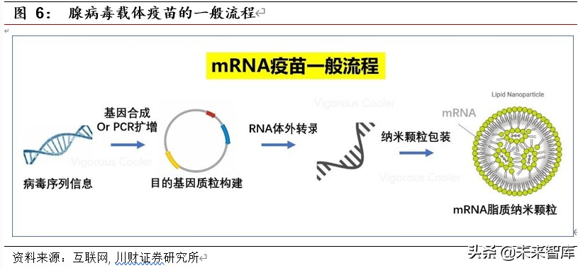 疫苗行业新冠专题研究：国际突发公共卫生事件下的疫苗研发