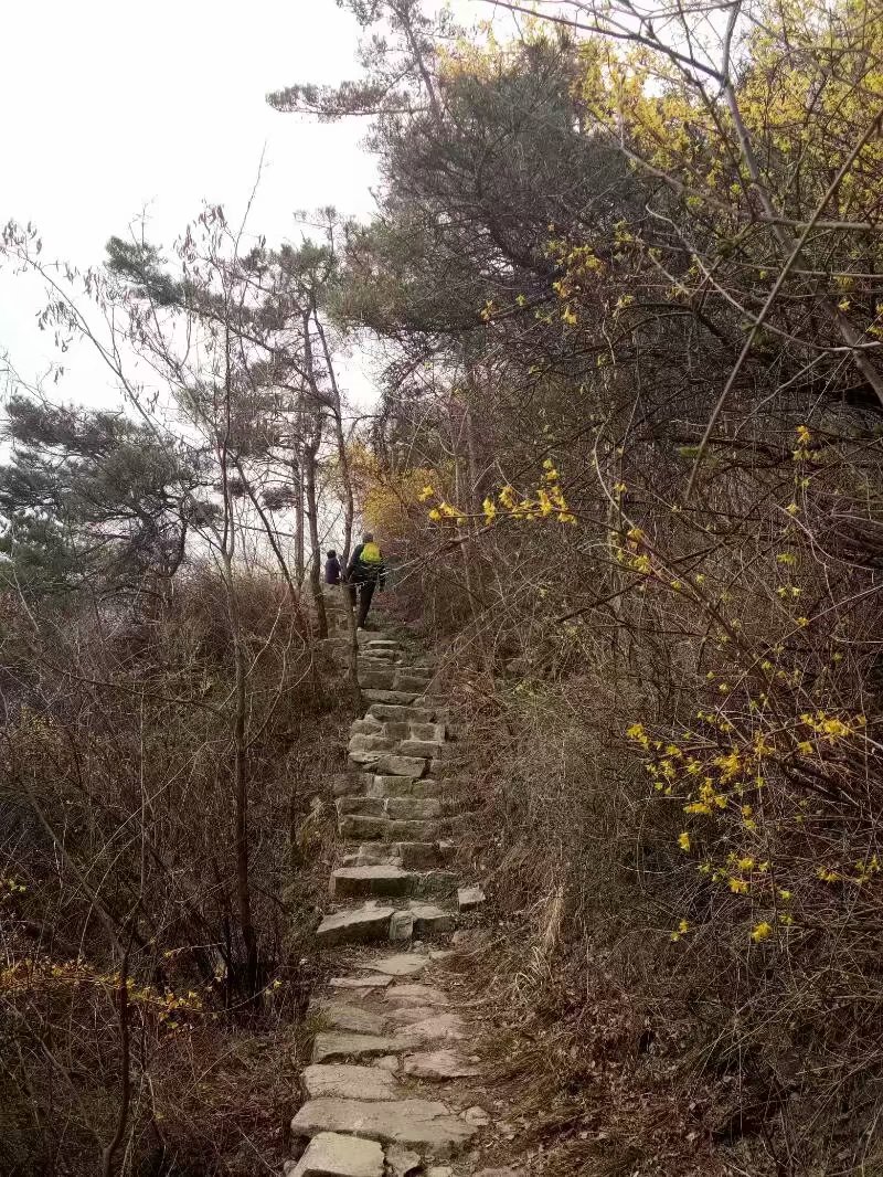 临朐嵩山，一个免费的旅游景点
