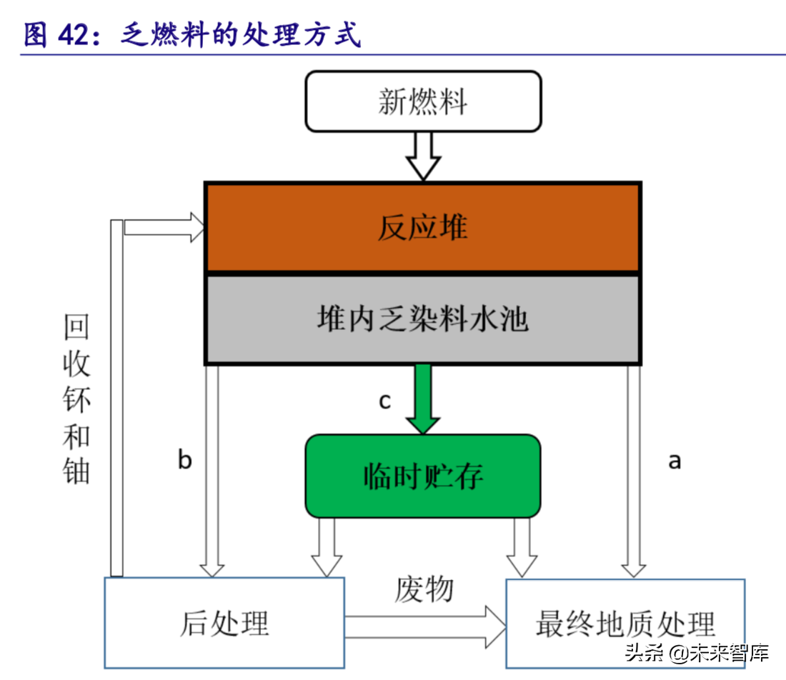 核电深度研究报告：曙光已现，锐者当先