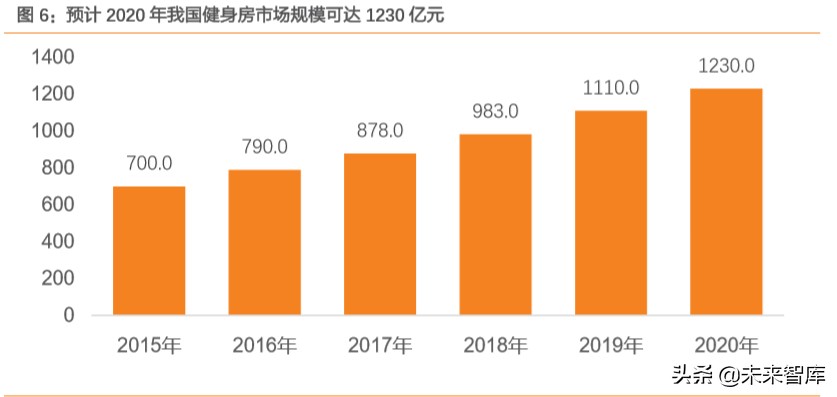 智能健身行业专题报告：智能应用环境下的家庭健身将如何发展
