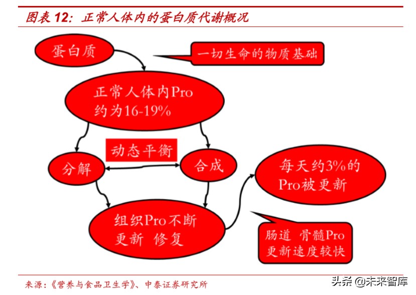 食品饮料行业深度报告：抗疫，从合理饮食开始