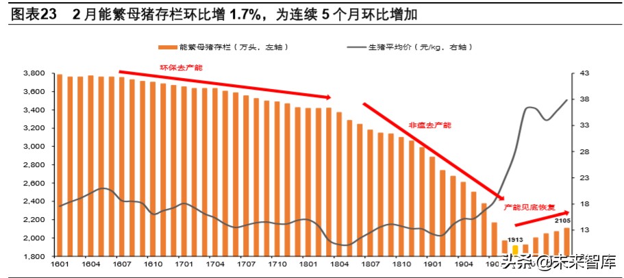 双疫情下中国生猪产业链专题报告