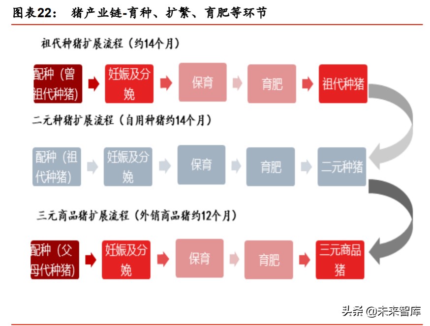 屠宰肉制品行业专题报告：周期的重塑与屠宰肉制品历史机遇