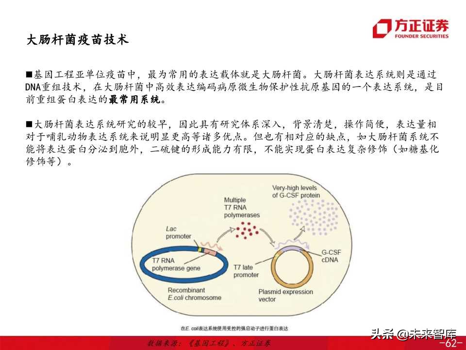医药生物专题之康希诺生物深度解析（138页PPT）