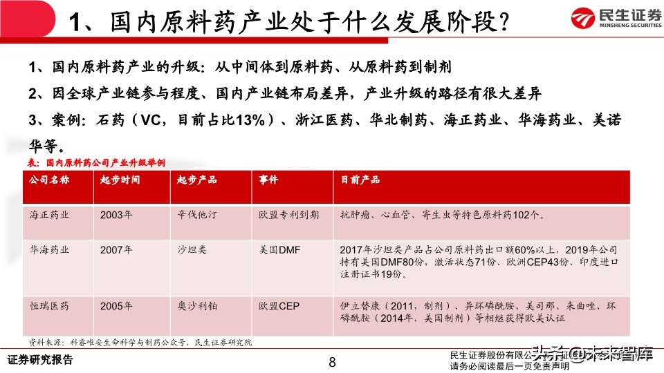 特色原料药行业专题报告：API行业生态演绎认识