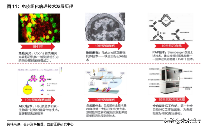 病理检测与诊断行业深度研究报告