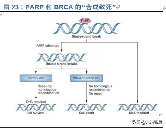 恒瑞医药深度解析：历久弥新，王者风范