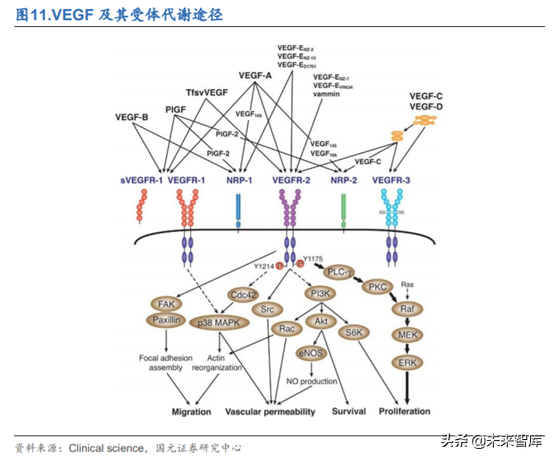 创新药之生物类似药深度研究