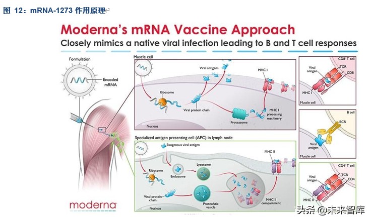 疫苗行业专题报告：我们离新冠疫苗还有多远？